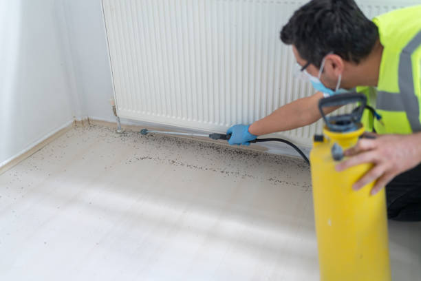 Best Rat Extermination Near Me  in Red Lake, AZ